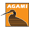 Agami